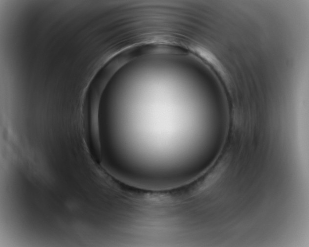X0000088851089200706151713
