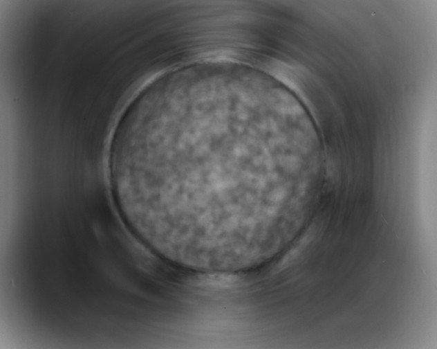 X0000088851090200706151713
