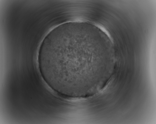 X0000088851091200706151713