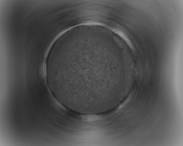 X0000088851092200706151713