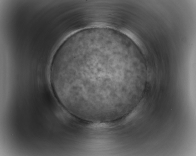 X0000088851094200706151713