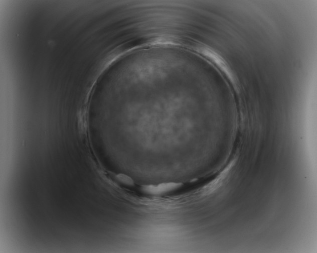 X0000088851097200706151713