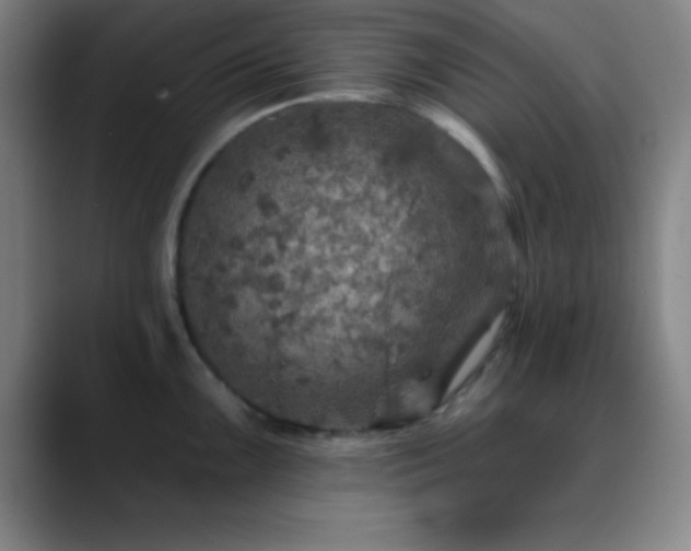 X0000088851099200706151713