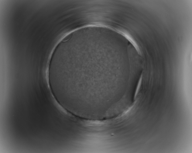 X0000088851100200706151713