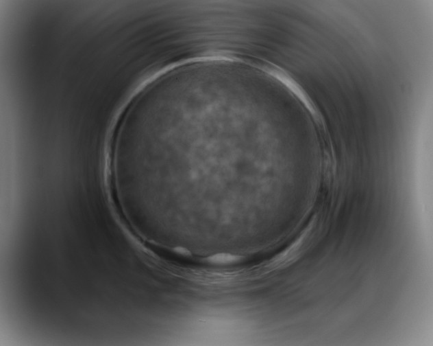 X0000088851101200706151713