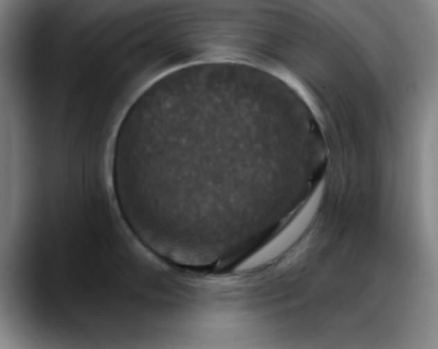 X0000088851102200706151713