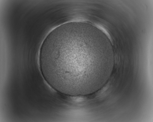 X0000088851103200706151713