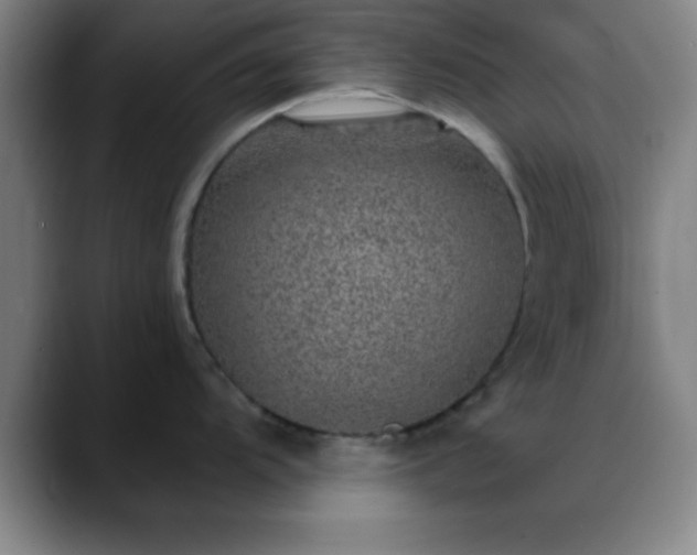 X0000088851104200706151713