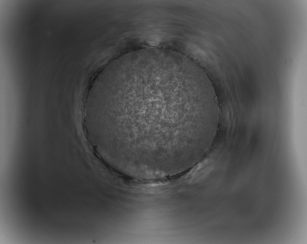 X0000088851105200706151712