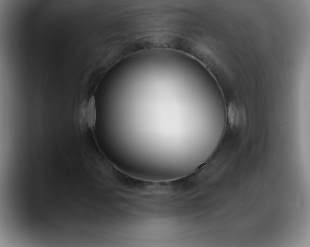 X0000088851107200706151712