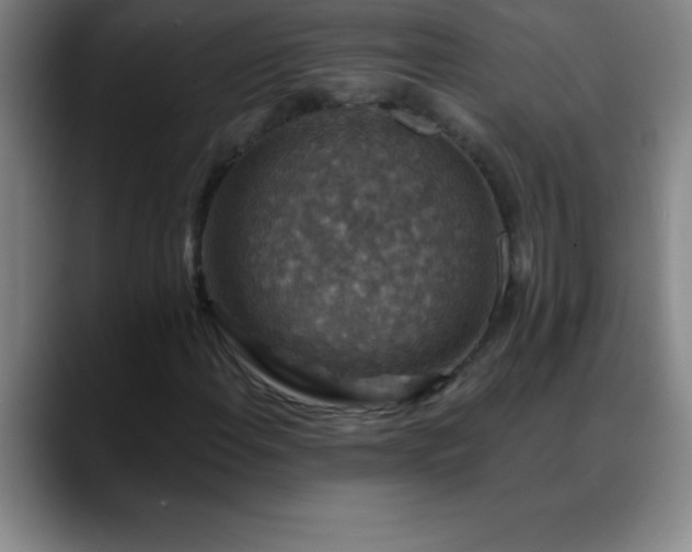 X0000088851108200706151712