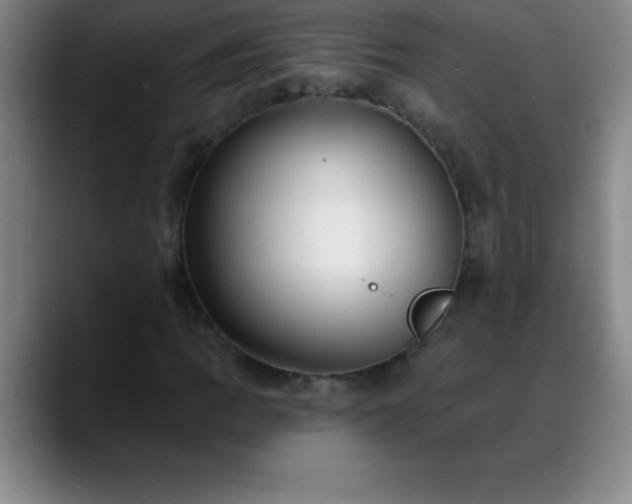 X0000088851109200706151712