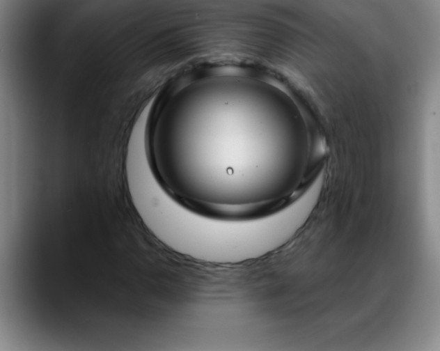 X0000088851110200706151712