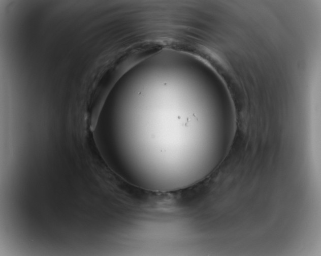 X0000088851111200706151712