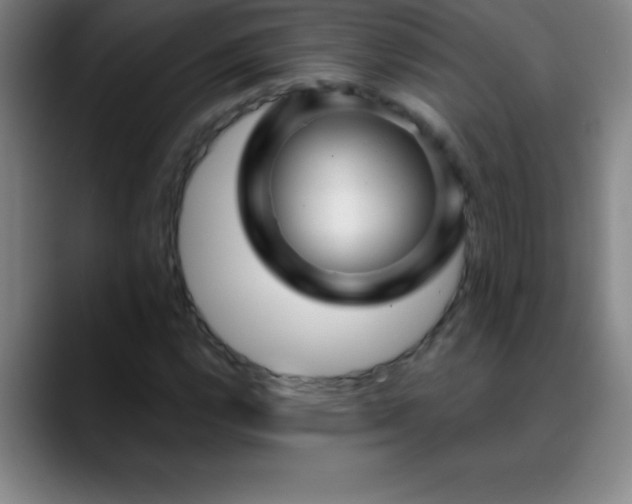 X0000088851112200706151712