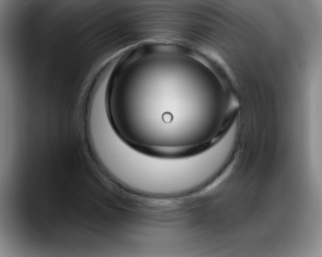 X0000088851114200706151712