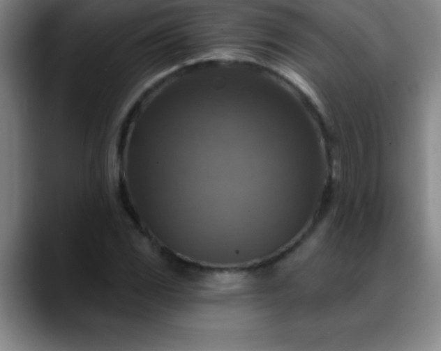 X0000088851117200706151712