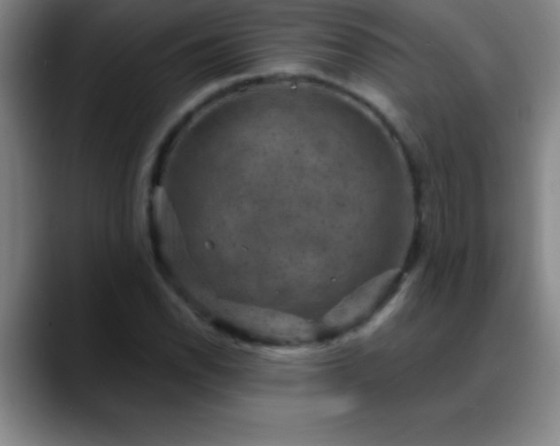 X0000088851118200706151712