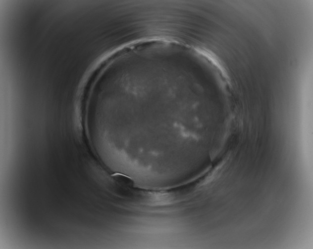 X0000088851120200706151712