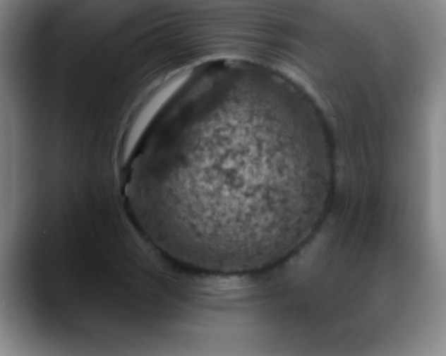 X0000088851121200706151712
