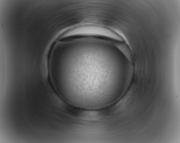 X0000088851123200706151712