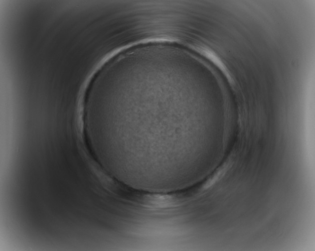 X0000088851124200706151712