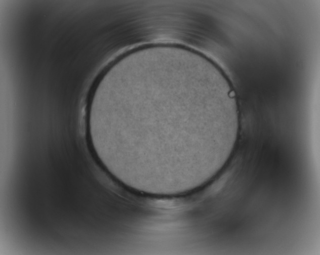 X0000088851126200706151712