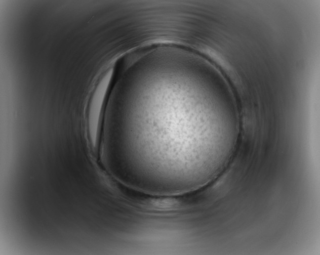 X0000088851129200706151712