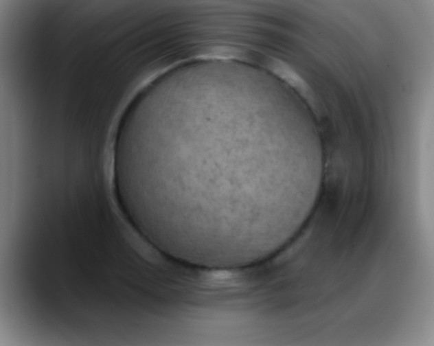 X0000088851130200706151712