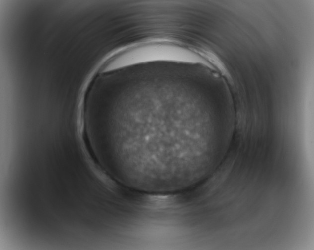 X0000088851132200706151712