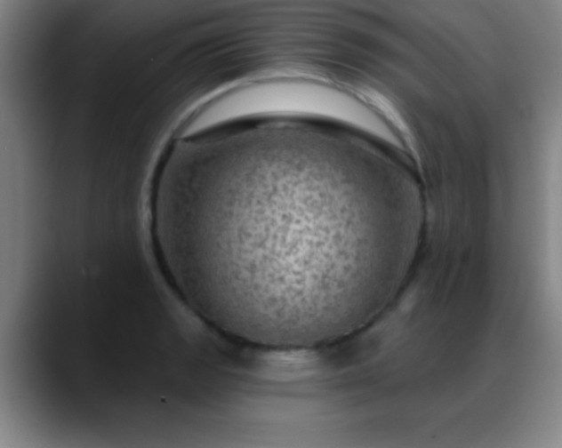 X0000088851133200706151712