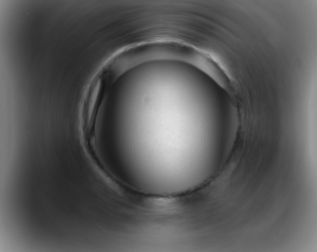 X0000088851134200706151712