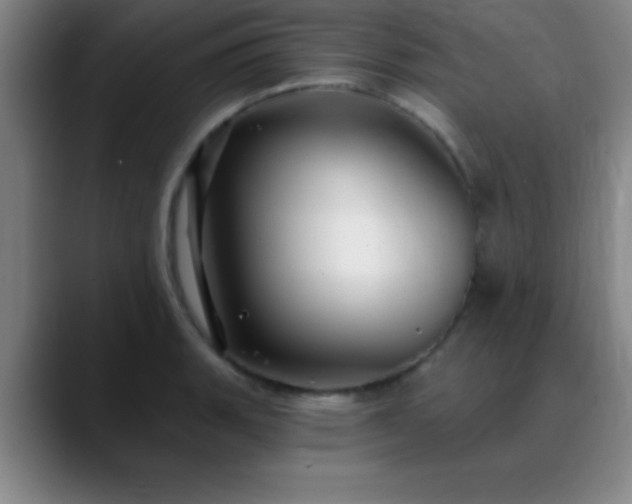 X0000088851135200706151712