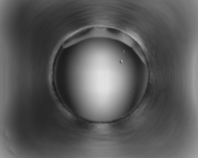 X0000088851136200706151712