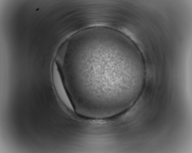 X0000088851137200706151712