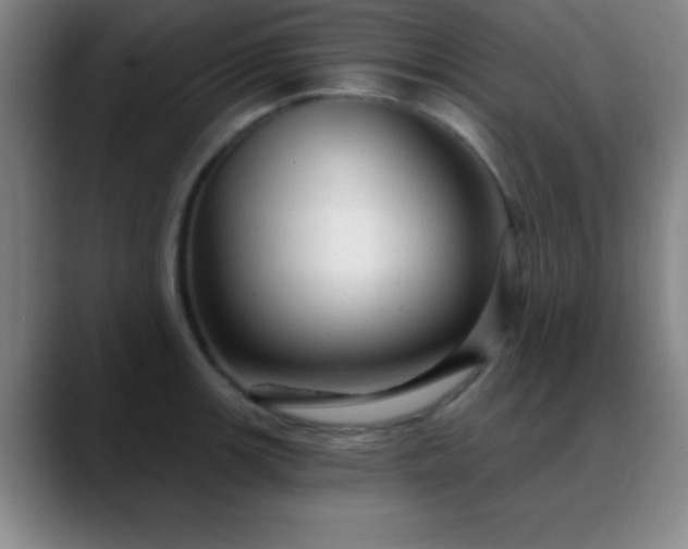 X0000088851139200706151712