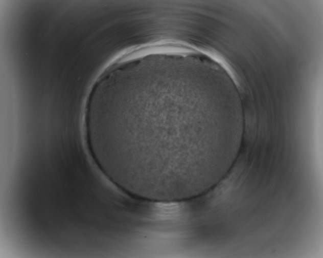 X0000088851142200706151712