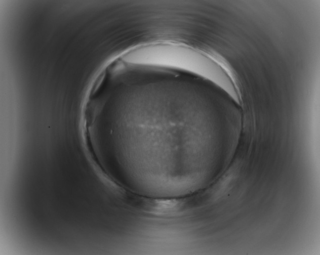 X0000088851144200706151712