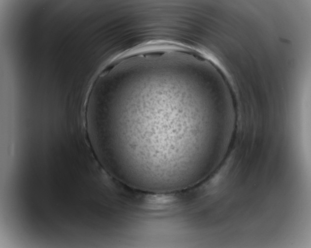 X0000088851145200706151712