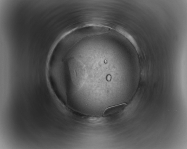 X0000088851146200706151712