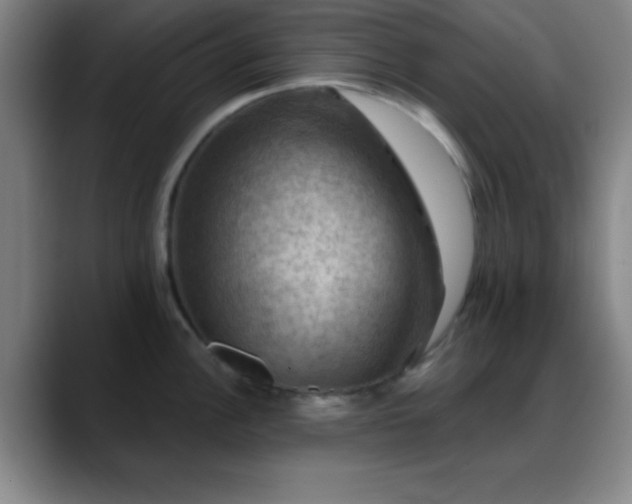 X0000088851148200706151713