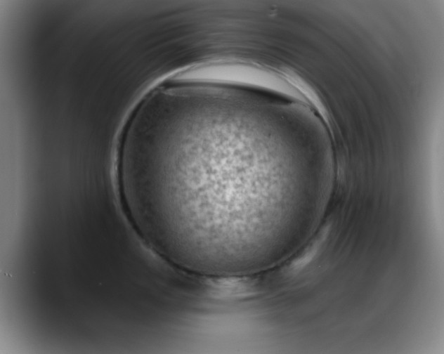 X0000088851149200706151713