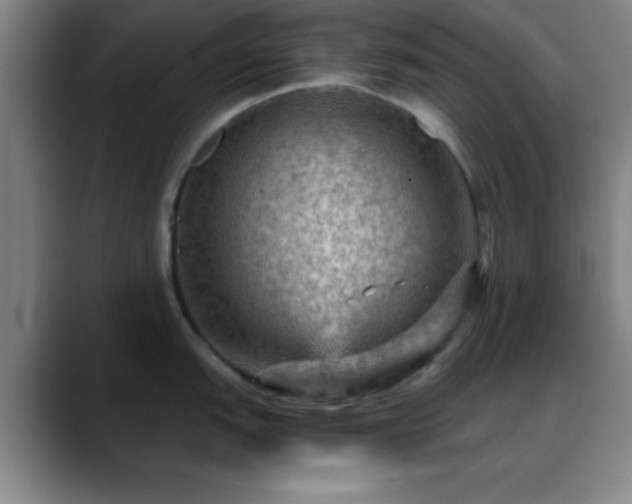 X0000088851151200706151713