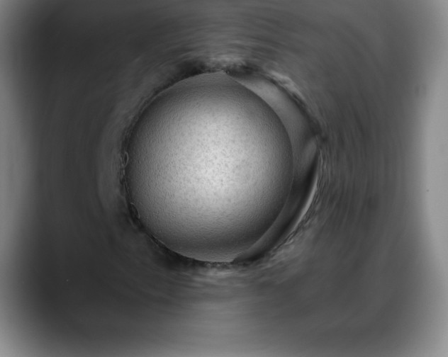 X0000088851153200706151712