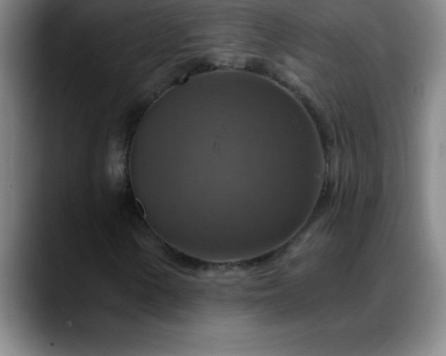 X0000088851154200706151712
