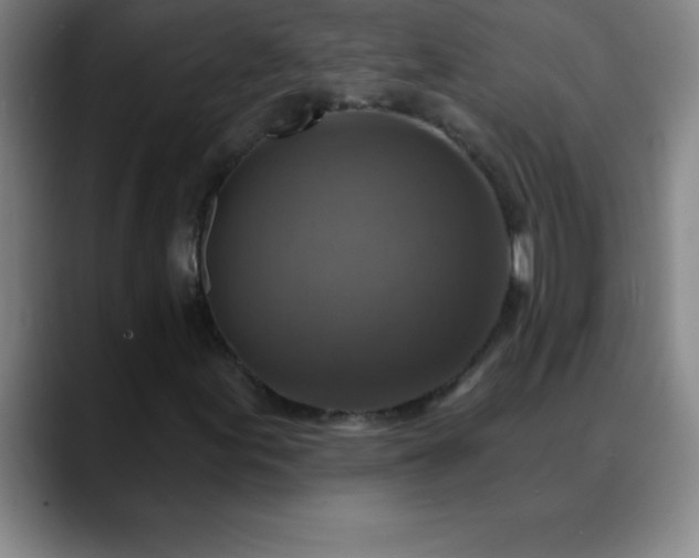 X0000088851155200706151712