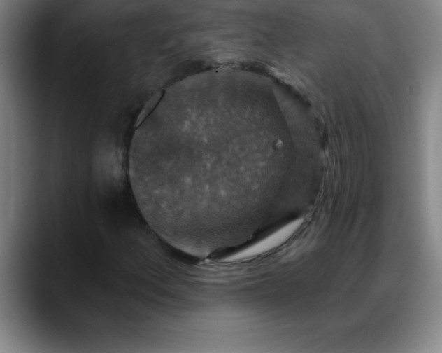 X0000088851156200706151712