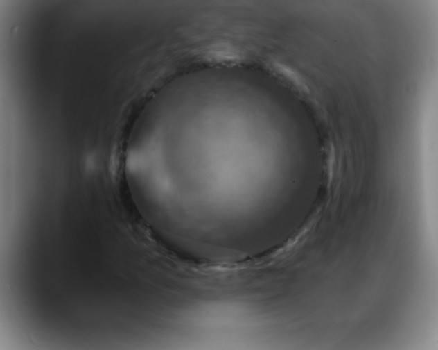 X0000088851157200706151712