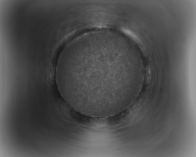 X0000088851158200706151712