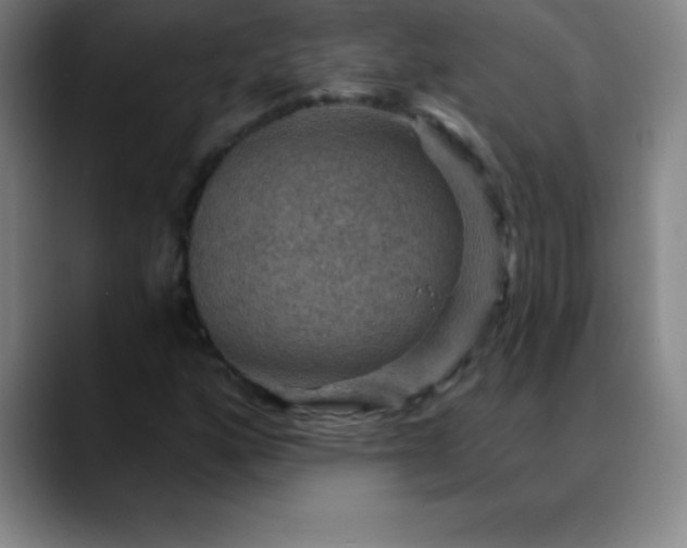 X0000088851160200706151712